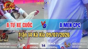 Xem Trận 14 Xà Xía Ngày 9/7/2026 tại Vua Gà AZ