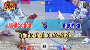 Xem Trận 15 Xà Xía Ngày 9/7/2026 tại Vua Gà AZ