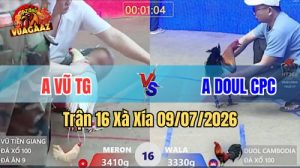 Xem Trận 16 Xà Xía Ngày 9/7/2026 tại Vua Gà AZ