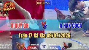 Xem Trận 17 Xà Xía Ngày 9/7/2026 tại Vua Gà AZ