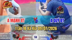 Xem Trận 18 Xà Xía Ngày 9/7/2026 tại Vua Gà AZ