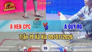 Xem Trận 19 Xà Xía Ngày 9/7/2026 tại Vua Gà AZ