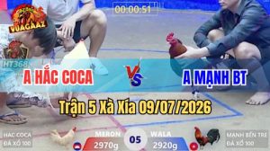 Xem Trận 5 Xà Xía Ngày 9/7/2026 tại Vua Gà AZ