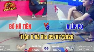 Xem Trận 6 Xà Xía Ngày 9/7/2026 tại Vua Gà AZ