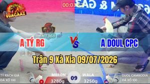 Xem Trận 9 Xà Xía Ngày 9/7/2026 tại Vua Gà AZ