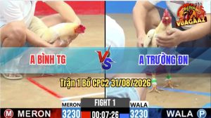 Trận 1 CPC2 31/08/2026 – Anh Bình TG Gặp Anh Trường ĐN Ở Trận Mở Màn