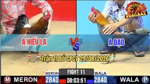 Trận 11 CPC7 29/08/2026 – Anh Hiếu Hạ Anh Đạo Trong Vòng 1 Tay Nước