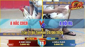 Trận 11 Tonhon 24/08/2026 – Anh Hắc Coca Tung Hàng Hiệu Ra Đá Như Sấm