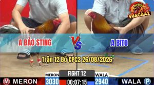 Trận 12 CPC2 26/08/2026 – Anh Bảo Sting Gặp Phải Đối Thủ Cứng Cựa