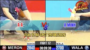 Trận 12 CPC7 29/08/2026 – Gà Úa Anh Minh Nhỏ Mà Có Võ Công Cao