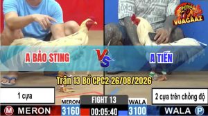 Trận 13 CPC2 26/08/2026 – Anh Bảo Sting Chấp Anh Tiến 1 Cây Cựa