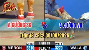Trận 13 CPC2 Ngày 30/08/2026 Trên Vua Gà AZ