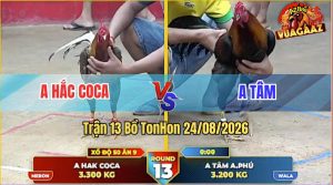 Trận 13 Tonhon 24/08/2026 – Anh Tâm Thành Công Đánh Bại Anh Hắc Coca