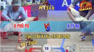 Trận 13 Xà Xía 27/08/2026 – Gà Anh Tý Đá Chân Nào Cũng Dính Cựa