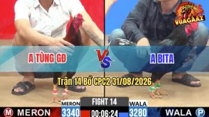 Trận 14 CPC2 31/08/2026 – Anh Tùng GĐ Thành Công Đánh Bại Anh Bita