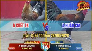 Trận 14 Tonhon 28/08/2026 – Anh Huấn CM Chấp Anh Chét LX 8 Chấm