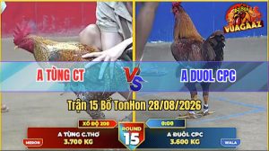 Trận 15 Tonhon 28/08/2026 – Anh Tùng Đụng Độ Với Anh Duol Campuchia