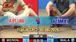 Trận 16 CPC2 Ngày 30/08/2026 Trên Vua Gà AZ