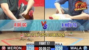 Trận 17 CPC2 31/08/2026 – Gà Bướm Anh Hiếu Bươi Chà Như Cái Máy