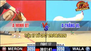 Trận 17 CPC7 29/08/2026 – Gà Khét Anh Minh Lùa Mấy Chân Lụm Tiền