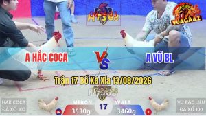 Trận 17 Xà Xía 13/08/2026 – Anh Hắc Coca Hạ Đối Thủ Gục Tại Chỗ