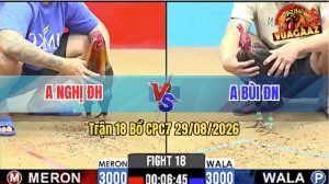 Trận 18 CPC7 29/08/2026 – Anh Bùi ĐN Làm Thịt Anh Nghị Nhanh Gọn