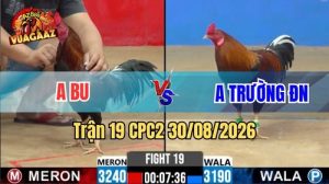 Trận 19 CPC2 Ngày 30/08/2026 Trên Vua Gà AZ