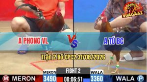 Trận 2 CPC2 31/08/2026 – Gà Khét Anh Tú BC Đá Khôn Như Người Ta