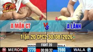 Trận 20 CPC2 Ngày 30/08/2026 Trên Vua Gà AZ