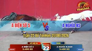 Trận 22 Tonhon 31/08/2026 – Anh Nghĩa Không Cho Anh Biện Cơ Hội Nào