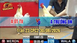 Trận 23 CPC2 Ngày 30/08/2026 Trên Vua Gà AZ