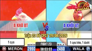Trận 23 CPC7 29/08/2026 – Anh Khá Chấp 1 Cựa Mà Đá Như 2 Cựa