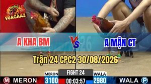 Trận 24 CPC2 Ngày 30/08/2026 Trên Vua Gà AZ
