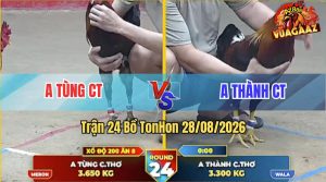 Trận 24 Tonhon 28/08/2026 – Anh Tùng Đụng Anh Thành CT, Xổ 200 Triệu