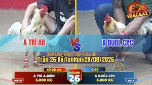 Trận 26 Tonhon 28/08/2026 – Anh Trí Thành Công Đánh Bại Anh Duol CPC