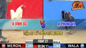 Trận 27 CPC2 31/08/2026 – Anh Phong VL Hạ Anh Vinh Trong 1 Tay Nước