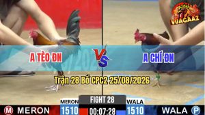 Trận 28 CPC2 25/08/2026 – Anh Chí ĐN Phản Kèo Ăn 1 Đẳng Cấp