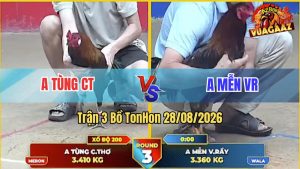 Trận 3 Tonhon 28/08/2026 – Anh Mên Kèo Dưới Mà Đá Anh Tùng Bít Cửa Ra
