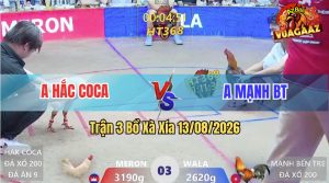 Trận 3 Xà Xía 13/08/2026 – Anh Kiểm Cà Mau Chấp Anh Hắc Coca 6 Chấm