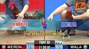 Trận 30 CPC2 31/08/2026 – Anh Hiếu TG Siết Đúng 1 Hơi Lụm Tiền