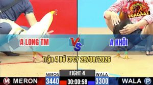 Trận 4 CPC7 29/08/2026 – Gà Điều Anh Khôi Đá Canh Chặn Quá Khôn Khéo