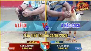 Trận 4 Tonhon 24/08/2026 – Gà Bướm Anh Hắc Coca Làm Đúng 3 Cước