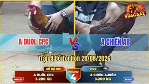 Trận 4 Tonhon 28/08/2026 – Anh Duol CPC Đụng Độ Với Anh Chiến AB