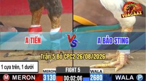 Trận 5 CPC2 26/08/2026 – Anh Bảo Sting Chấp Ngông Mà Vẫn Lụm