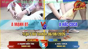 Trận 5 Xà Xía 06/08/2026 – Anh Hắc Coca Hạ Anh Mạnh BT Dễ Dàng