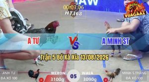 Trận 5 Xà Xía 13/08/2026 – Anh Tư Đá Không Cho Anh Minh ST Cơ Hội Nào