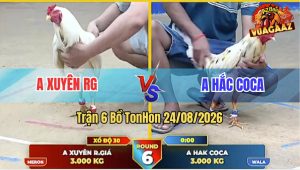 Trận 6 Tonhon 24/08/2026 – Anh Hắc Coca Đá Đối Thủ Không Kịp Trở Tay