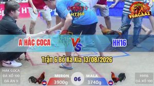 Trận 6 Xà Xía 13/08/2026 – Anh Hắc Coca Phong Độ Lên Như Diều Gặp Gió