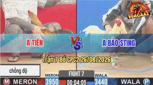 Trận 7 CPC2 26/08/2026 – Anh Tiến Chồng Độ Lụm Luôn Anh Bảo Sting