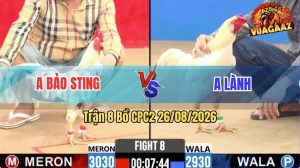 Trận 8 CPC2 26/08/2026 – Gà Bướm Anh Bảo Sting Đá Khôn Như Người